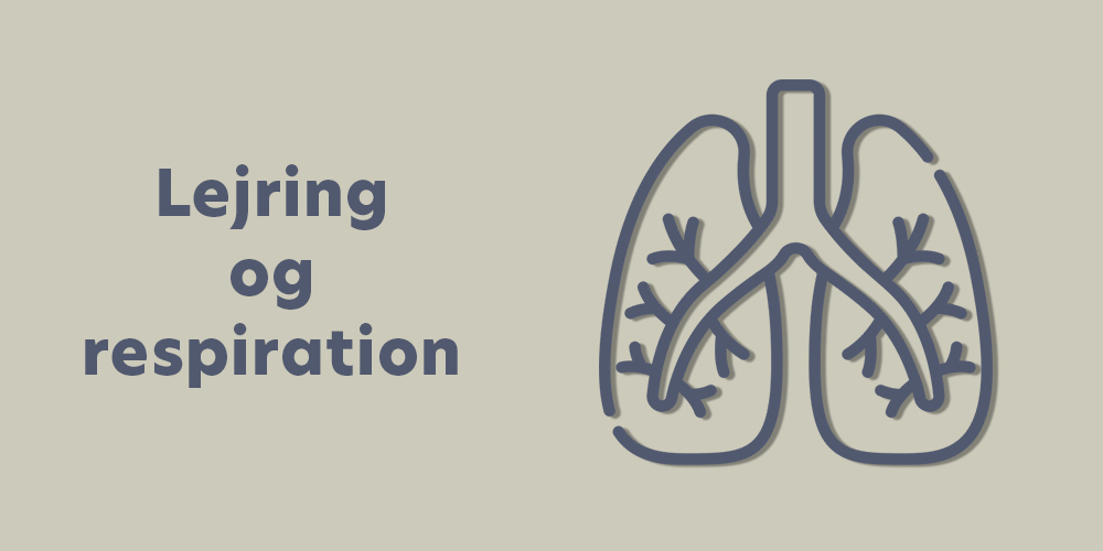 Lejring og respiration