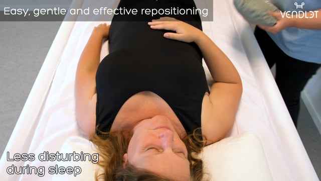 Den lille pudes vandring